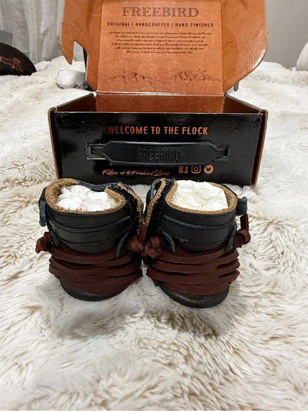 RARE Freebird Baby Crue Black Multi Leather Booties 3-6M NIB Box Dust Bag
